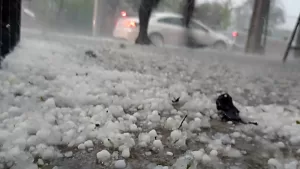 Granizos Web