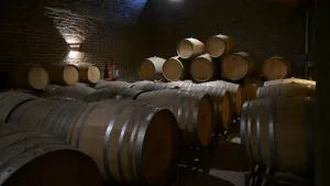 Vino
