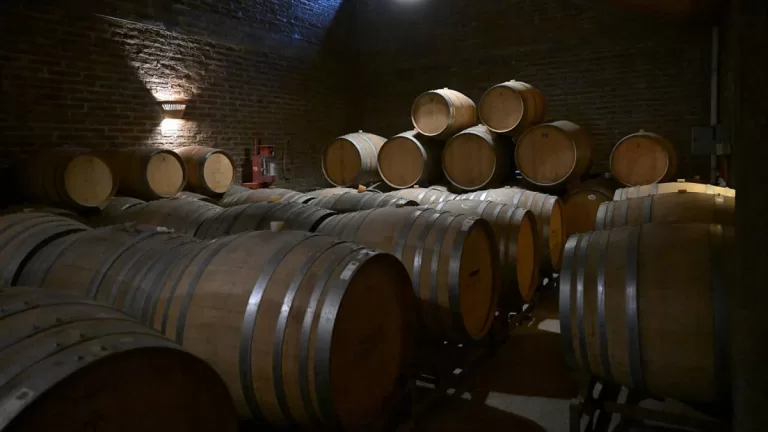 Vino